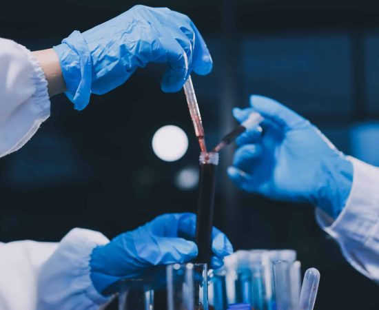 scientist working at the laboratory